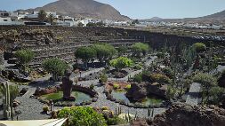 20260829_161658 null