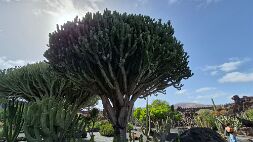 20260829_164927 null