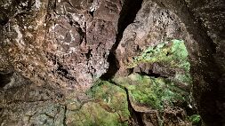 20260901_162806 null