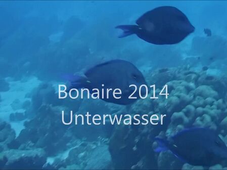 2014 Bonaire